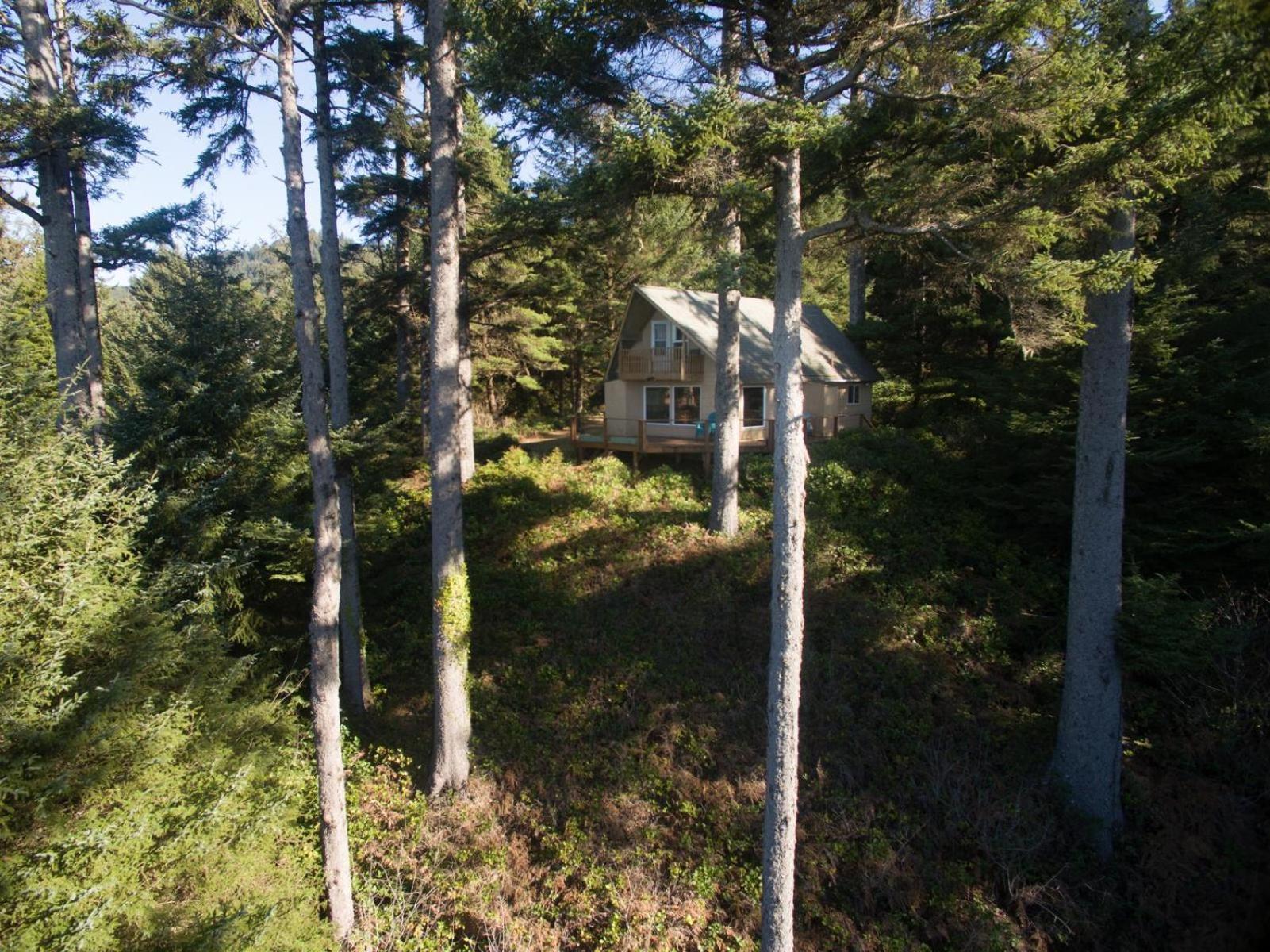 Вілла The Cedar House Otter Rock Екстер'єр фото
